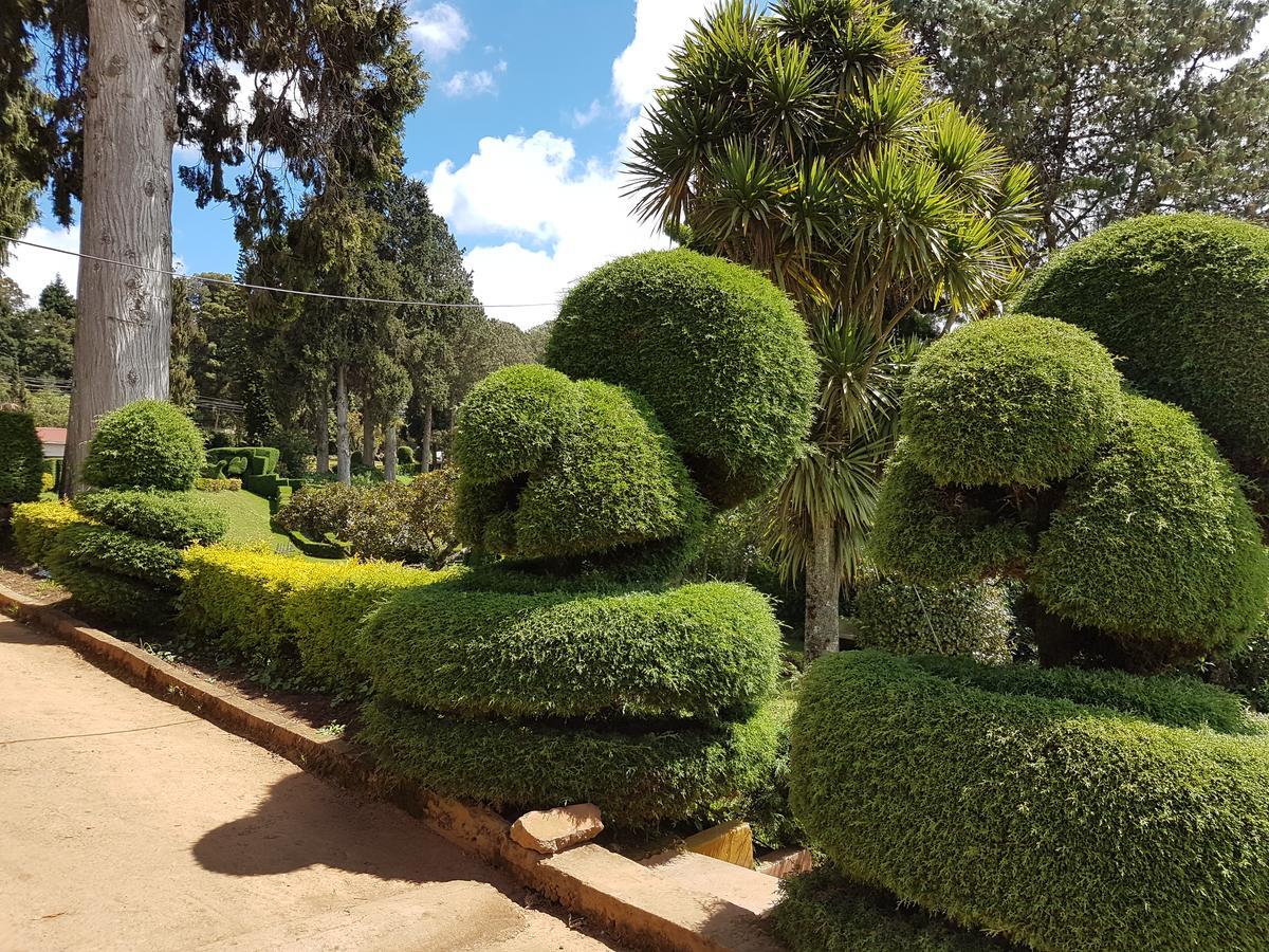 Kstdc Hotel Mayura Sudarshan ,Ooty Eksteriør bilde